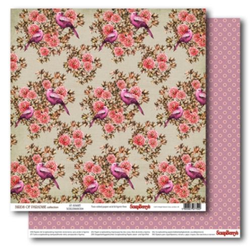 Double-sided paper 12