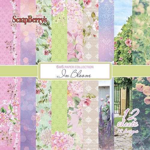 Paper Collection Set 6