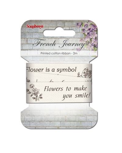 Printed ribbon, French Journey, 25mm, 2m, cotton (clr 80)