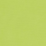 Sandable Textured Cardstock Pale green, 12