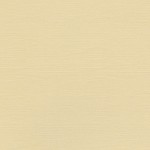 Sandable Textured Cardstock Sandy, 12