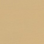 Textured Cardstock Beige, 12*12