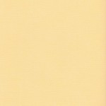 Textured Cardstock Corn, 12*12
