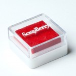 Pigment Ink RED 2,5x2,5 cm SCB21010001