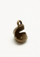 Charms set Pearl in shell, 10 pcs
