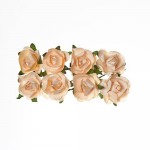 Paper Flowers – Rose – Peach, (8 Pieces Per Pack)