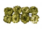 Paper Flowers - Curly Rose – Green (8 Pieces Per Pack) (clr 50)