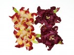 Gardenia 5cm 4 pcs in a pack BORDEAUX/CREAM&BORDEAUX