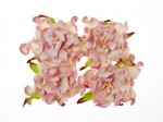 Gardenia 7cm 4 pcs in a pack PINK&WHITE