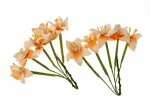 Stemmed Lily 10 pcs in a pack CREAM&PEACH
