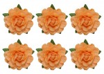 Tea roses' flowers, -18 mm diameter, 6 pcs, beige