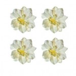 Gardenia white, set 4 pcs, dia 5cm
