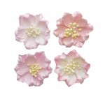 Gardenia pale pink, a set of 4 pcs, dia 5cm
