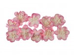 Cherry Blossom (10 piece set) Pink & White