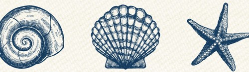 Craft/Washi Tape, with Sea Shells Print (15mm*8m)