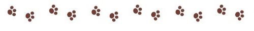 Craft/Washi Tape, Basik&Co. Paws (15mm*8m)